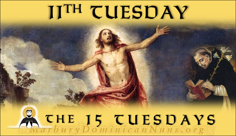 Header for 11th Tuesday with the Risen Lord with St. Dominic added.