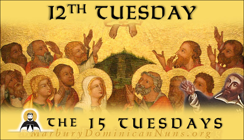Header for 12th Tuesday with Jesus ascending into heaven with St. Dominic and Our Lady looking on.