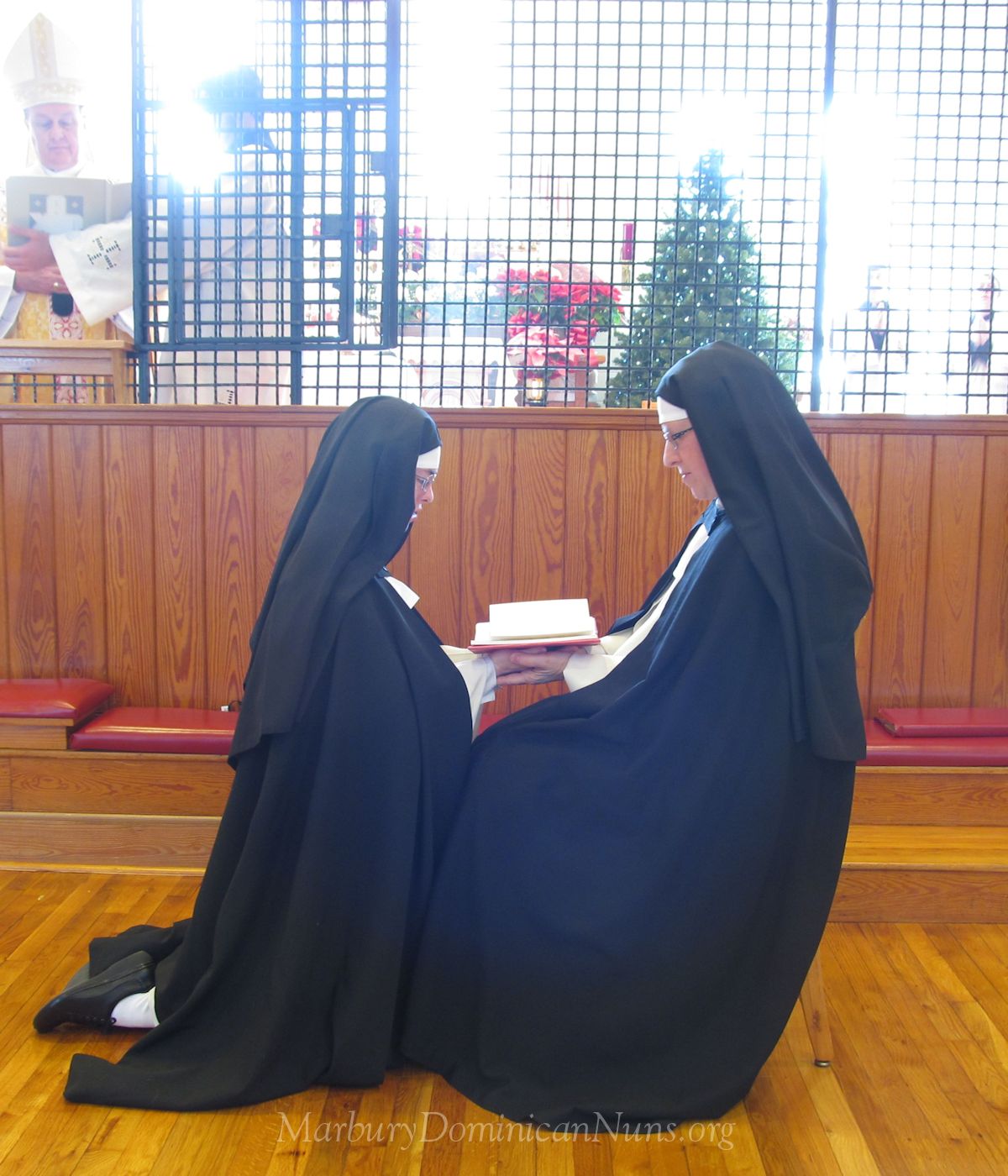 Photo of Dominican nun solemn vows