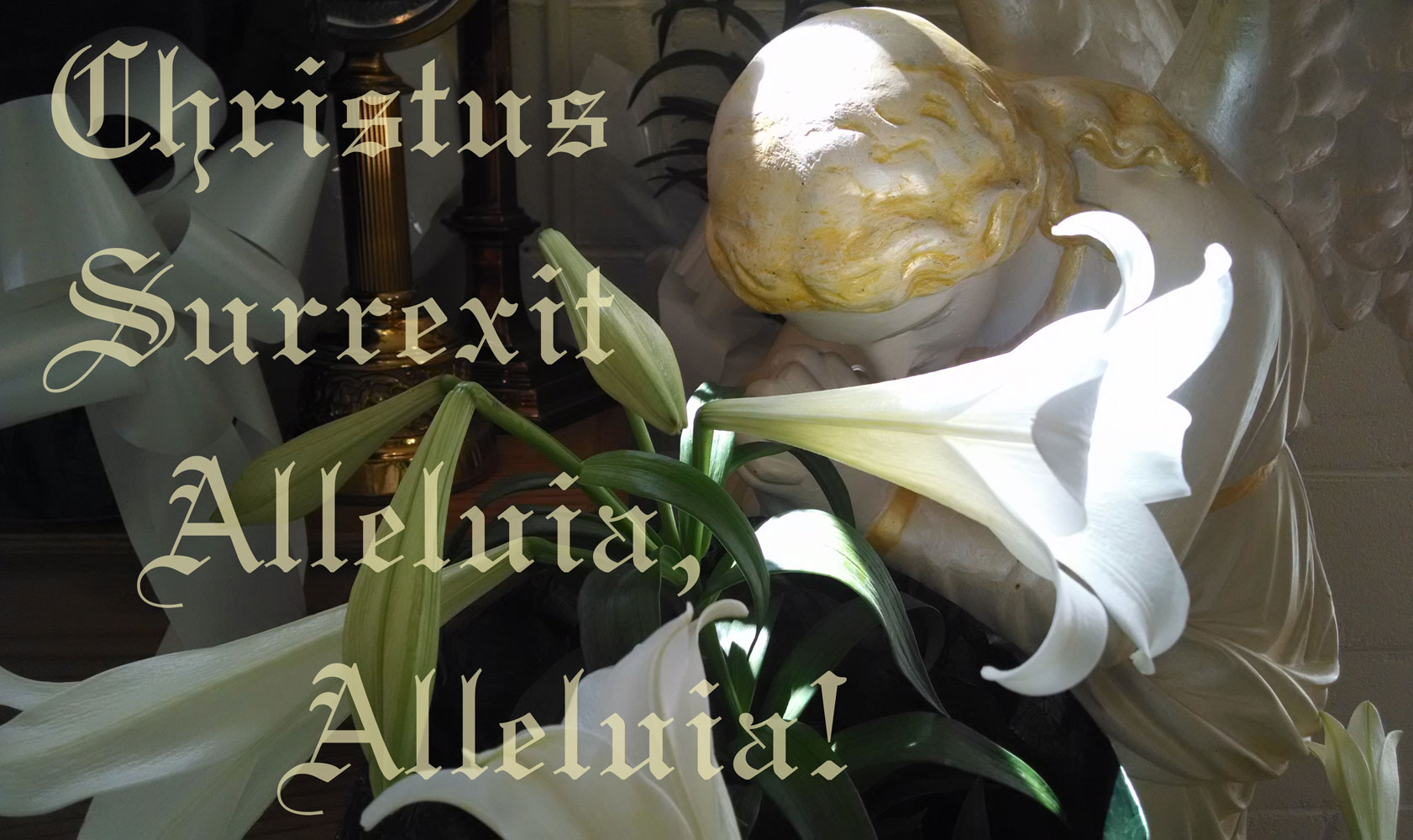 Photo of angel statue with Easter lilies in sunlight, with text: Christus Surrexit, Alleluia, Alleluia!