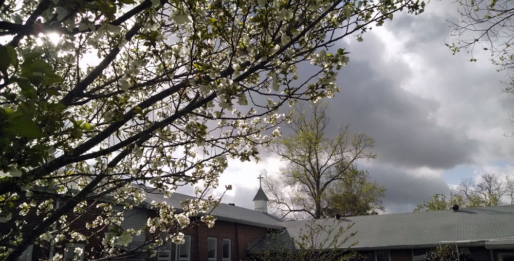 Sun shines through clouds on cherry blossoms over monastery chapel.